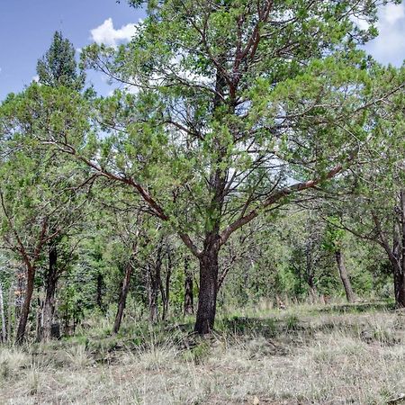 Majestic Pines Ruidoso Retreat With New Hot Tub! Villa Екстериор снимка